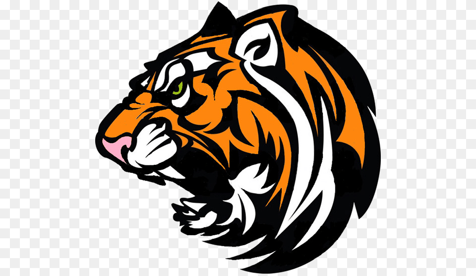 La Grande High School Tiger, Animal, Mammal, Wildlife, Person Free Transparent Png