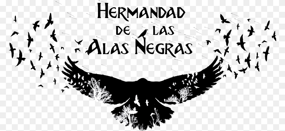 La Hermandad De Las Alas Negras Es Una Mercenaria Silhouette Flying Raven Clipart, Nature, Outdoors, Fireworks, Snow Free Png Download