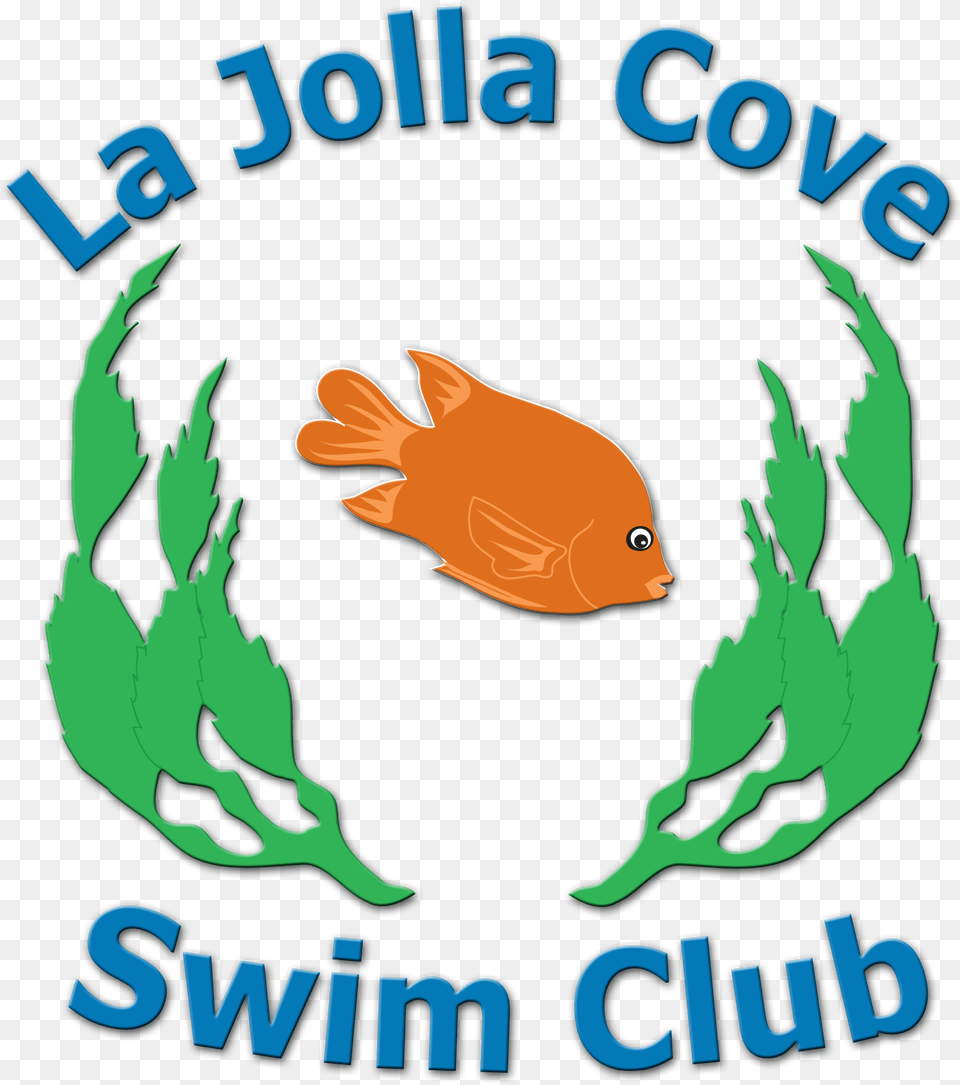 La Jolla Cove Swim Club, Animal, Fish, Sea Life Png
