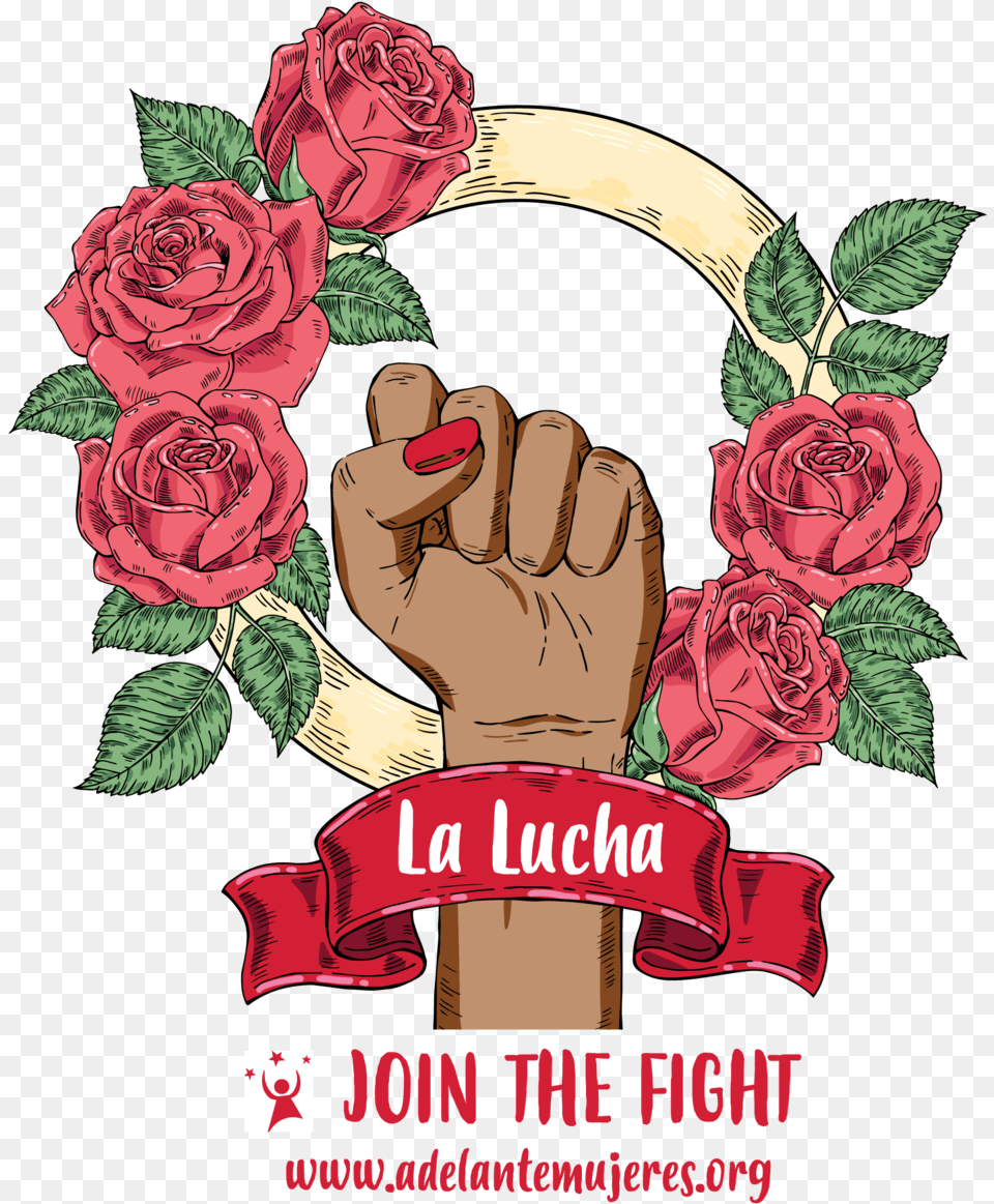 La Lucha For Web, Advertisement, Rose, Flower, Plant Free Transparent Png