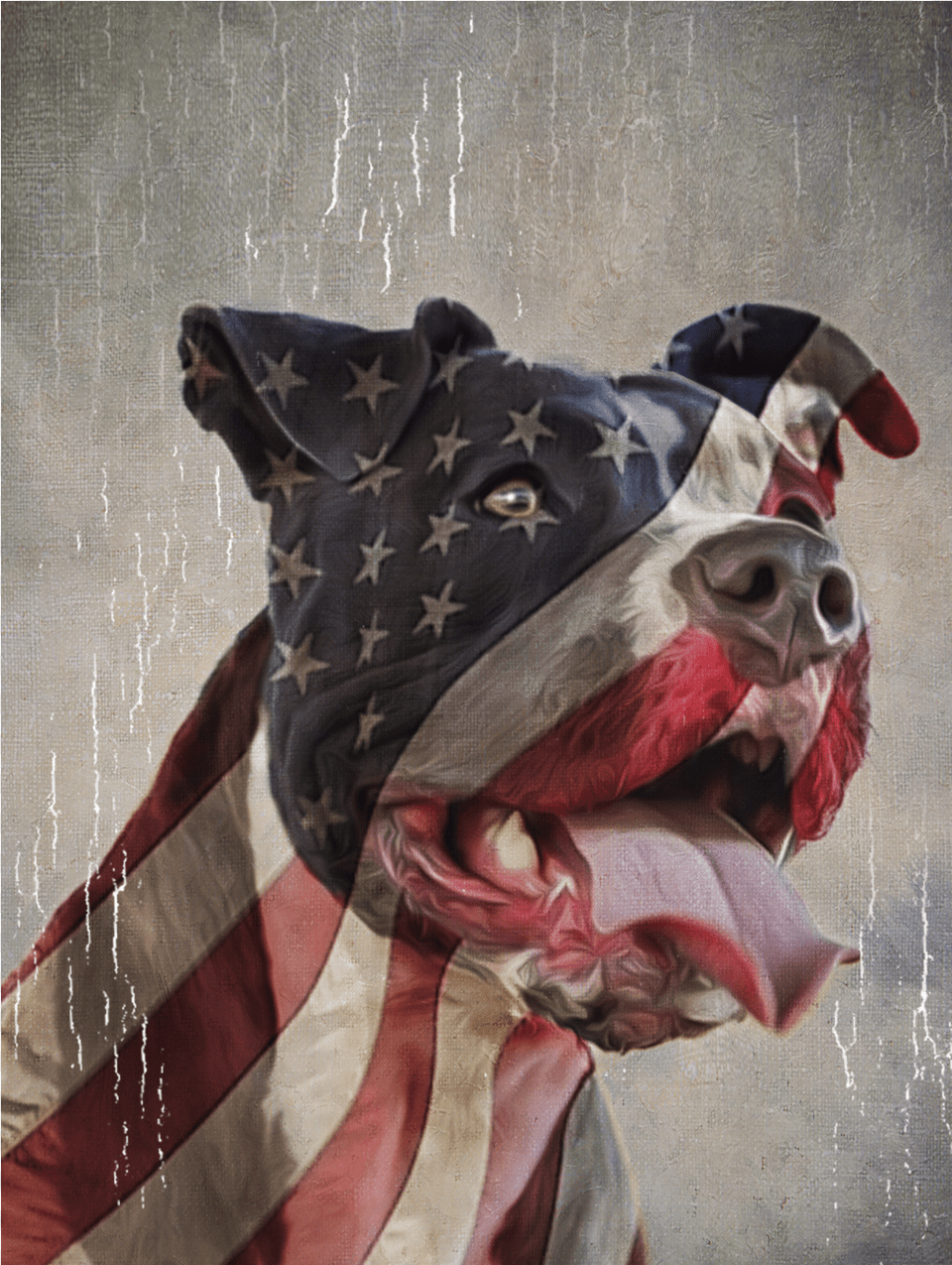 La Maxpa Printed Building Men T Shirt Patriotic Paw Americas Dog The Pitbull, Baby, Person, American Flag, Flag Free Transparent Png