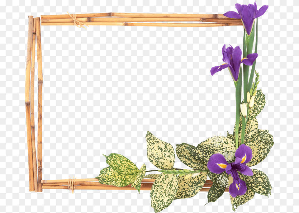 La Muli Ani De Sf Maria, Flower, Plant, Purple, Flower Arrangement Png