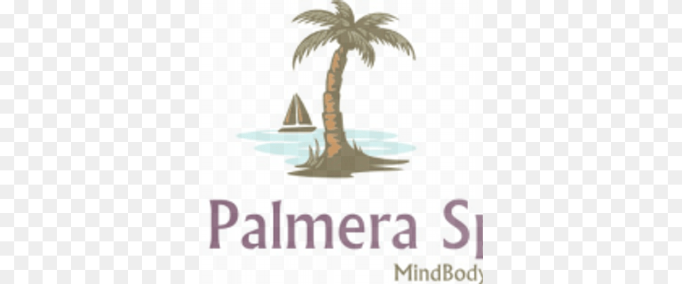 La Palmera Spa Tnis Dijean Napa Branco, Palm Tree, Plant, Tree, Water Png