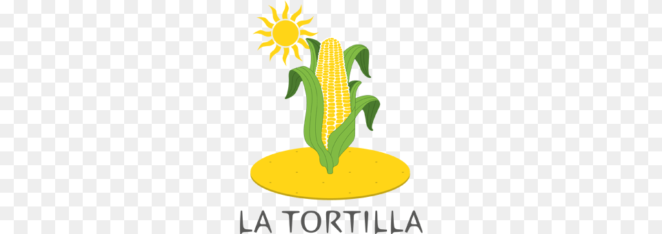 La Tortilla In Near Munich, Corn, Food, Grain, Plant Free Png Download