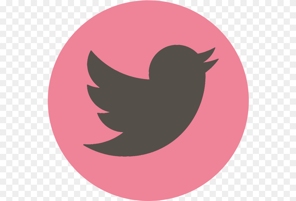 La Twitter Logo White Background, Animal, Bird, Blackbird Png Image