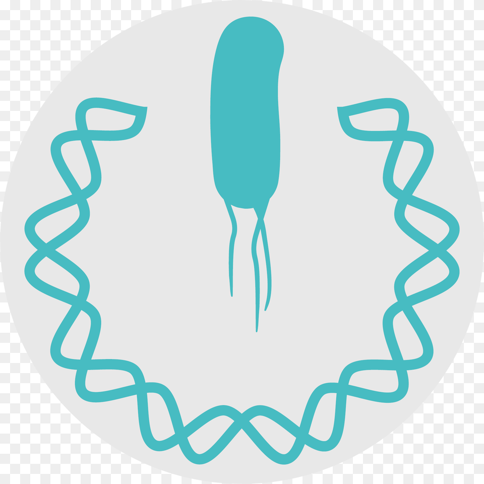 Lab, Cutlery, Fork Png