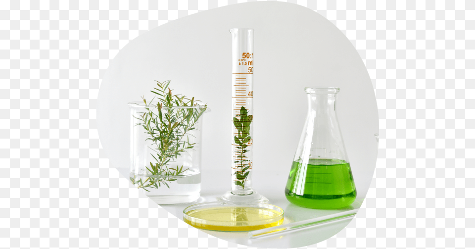 Lab Beaker With Botanical, Cup, Jar, Plant Png Image