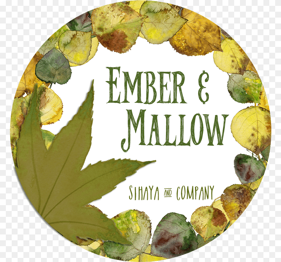 Label, Leaf, Photography, Plant, Tree Free Png Download