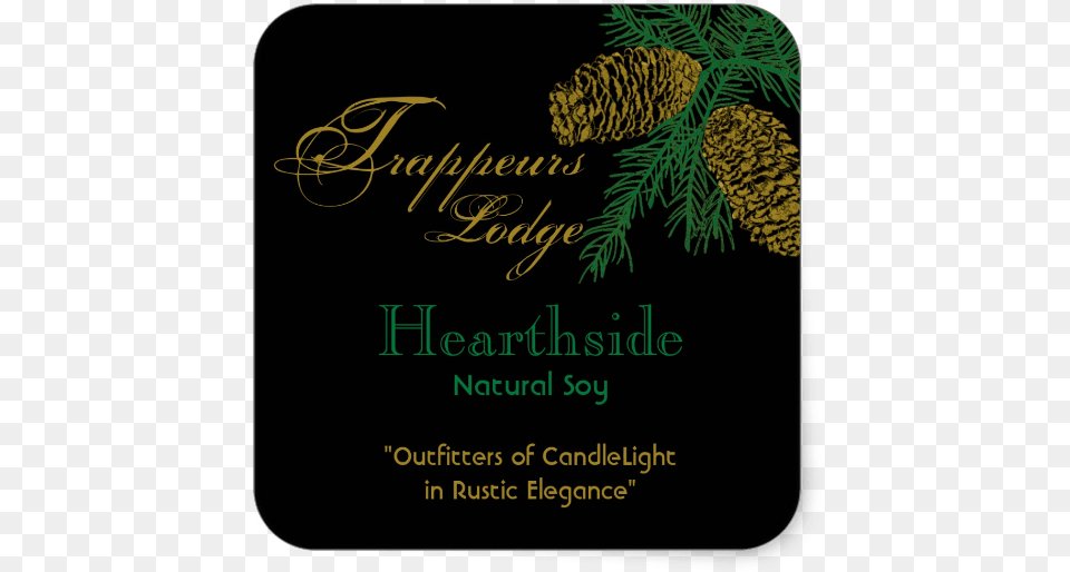 Label, Conifer, Herbal, Herbs, Plant Free Transparent Png