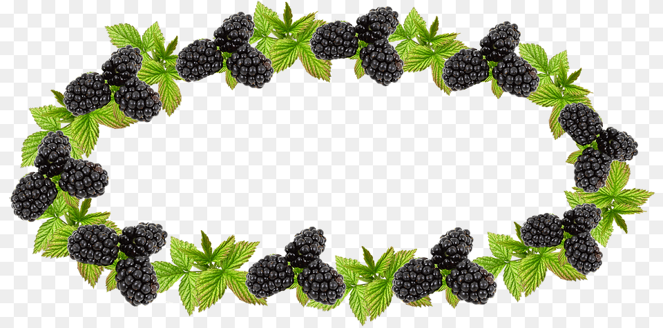 Label Blackberry Preserves Jam Border Blackberry, Berry, Food, Fruit, Plant Free Png Download