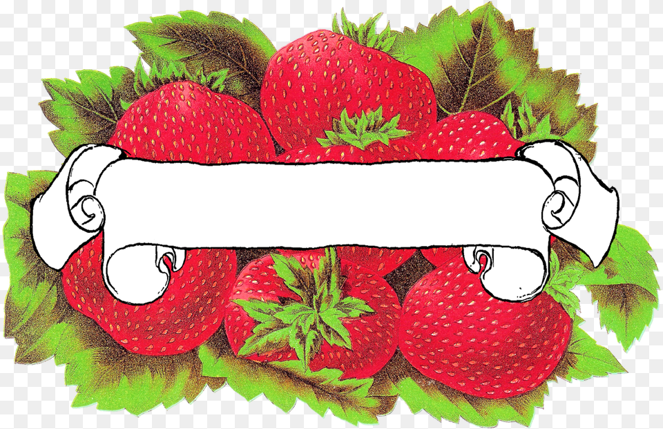 Label Blank Strawberry Printable, Berry, Food, Fruit, Plant Png