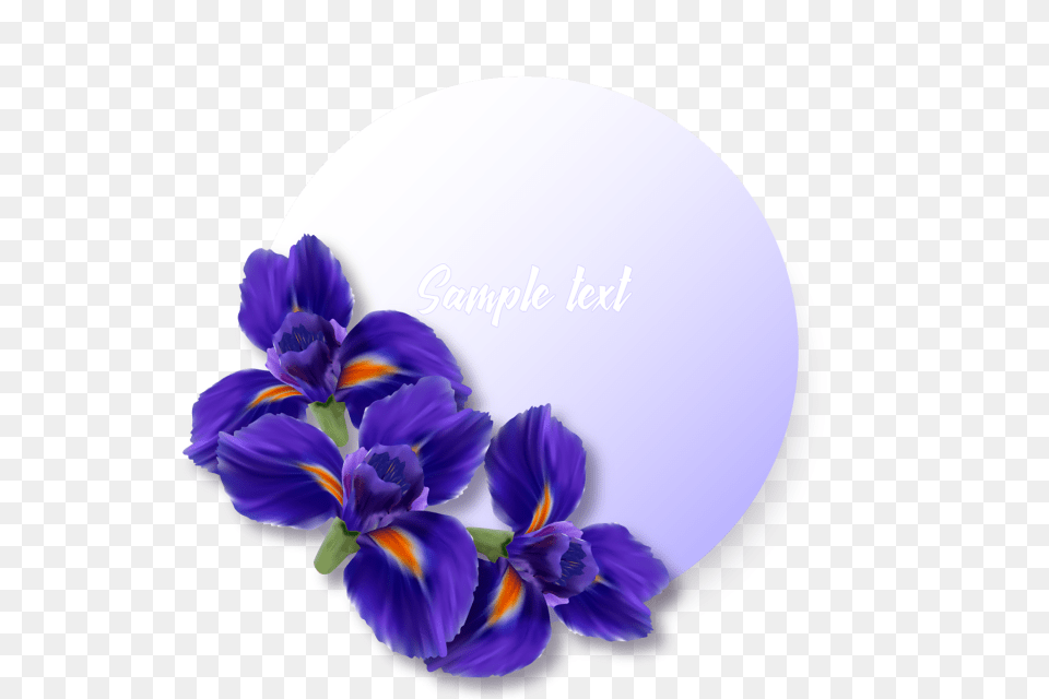 Label Or Sticker With Realistic Iris Flowers Iris Flower, Petal, Plant, Purple Png