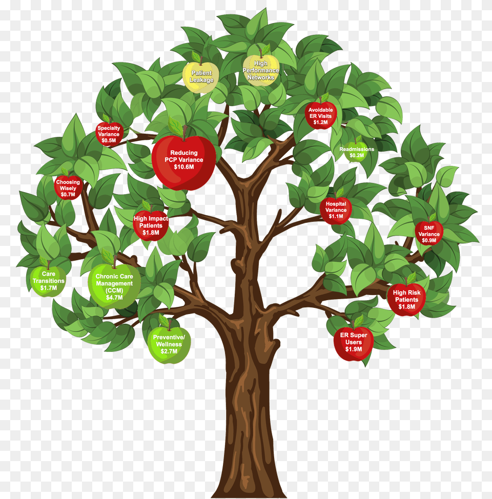 Labeled Apple Tree, Vegetation, Plant, Rainforest, Produce Free Transparent Png