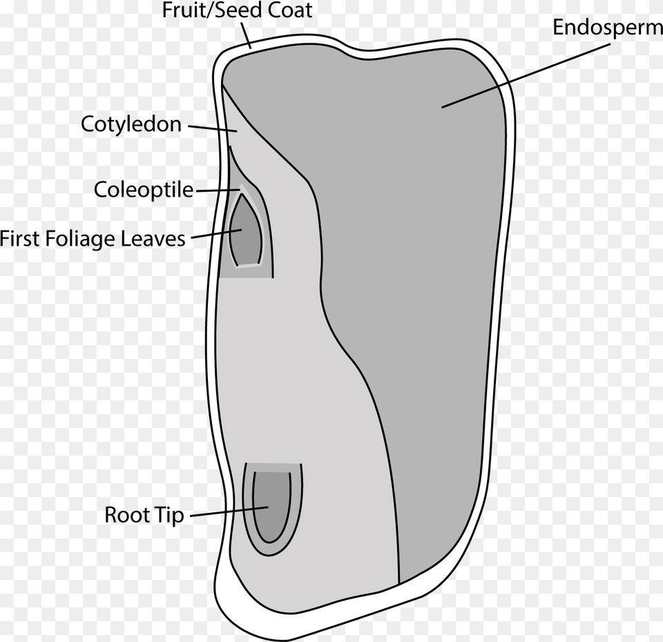 Labelled Corn Seed Illustration, Bag, Appliance, Blow Dryer, Device Free Transparent Png