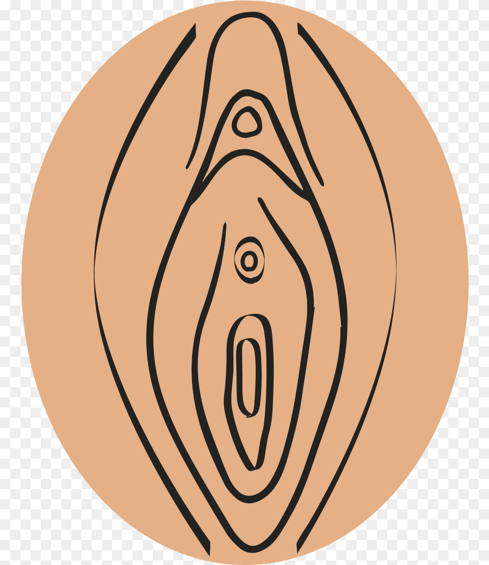 Labia Minora Clitoris And The External Openings Of Vagina Transparent, Chandelier, Lamp, Wood, Body Part Png Image