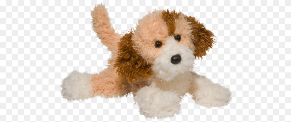 Labradoodle, Teddy Bear, Toy, Plush, Animal Free Png Download