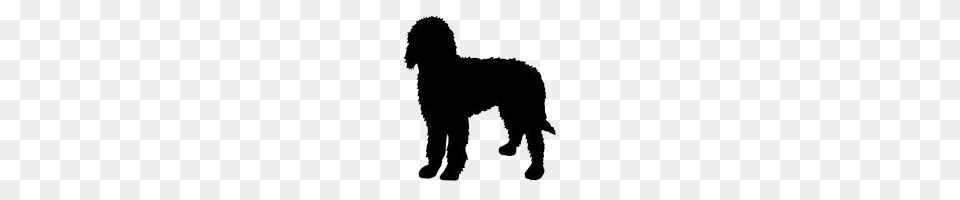 Labradoodle Clipart, Silhouette, Animal, Bear, Mammal Free Png
