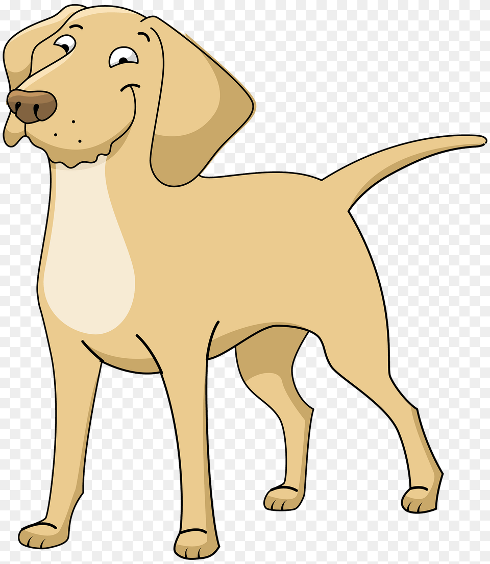 Labrador Clipart, Animal, Pet, Mammal, Hound Png Image