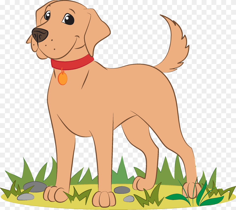 Labrador Clipart, Animal, Puppy, Canine, Dog Free Transparent Png