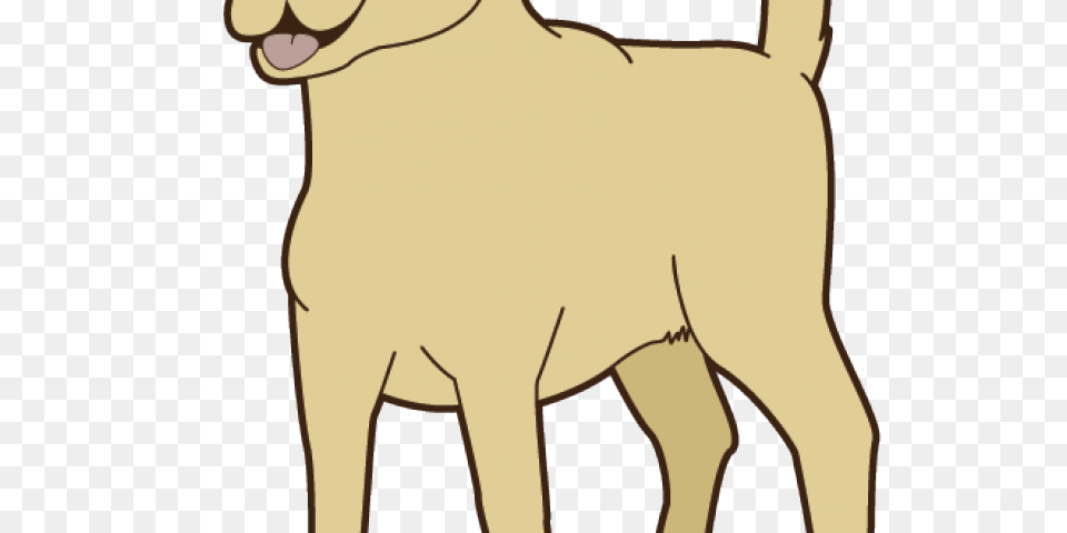 Labrador Clipart Grey Dog, Person, Animal, Mammal Free Transparent Png