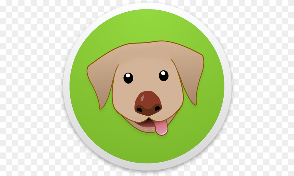 Labrador Retriever, Animal, Canine, Mammal, Pet Free Transparent Png