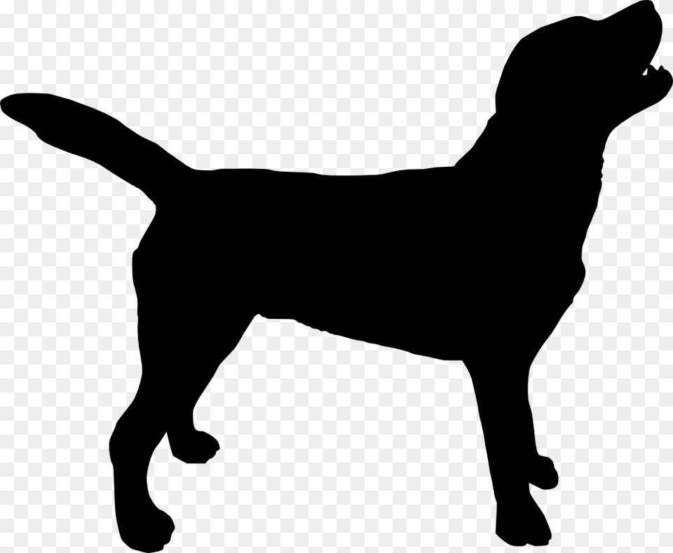 Labrador Retriever, Silhouette, Animal, Canine, Dog Free Png Download