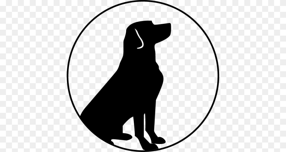 Labrador Retriever, Silhouette, Animal, Pet, Cat Free Transparent Png