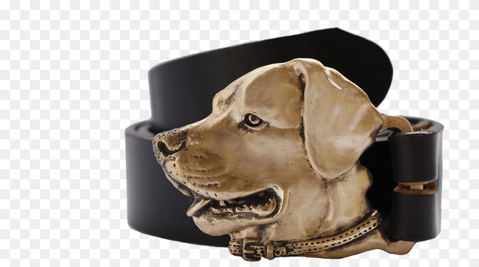 Labrador Retriever, Accessories, Belt, Buckle Png