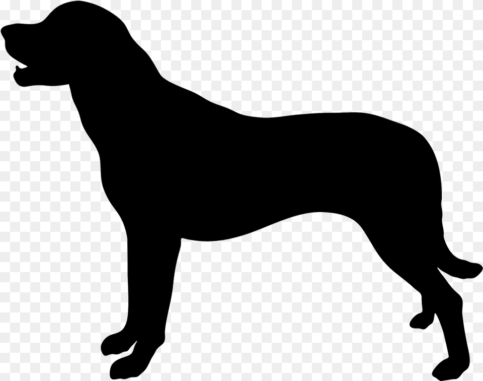 Labrador Retriever Arabian Horse Dog Breed Sticker Hound Dog Silhouette, Gray Png