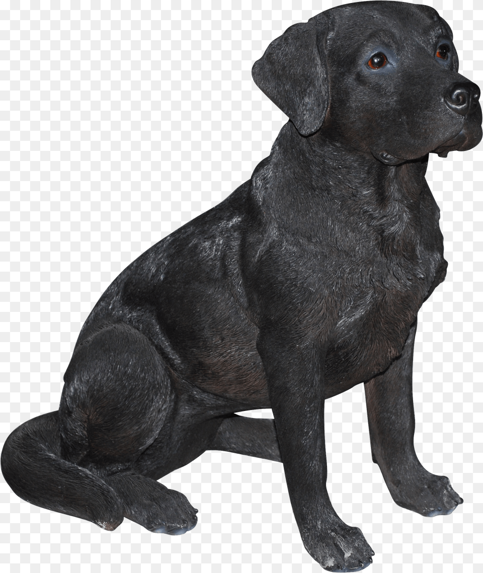 Labrador Retriever Black Labrador Door Stop, Animal, Canine, Dog, Labrador Retriever Free Png Download