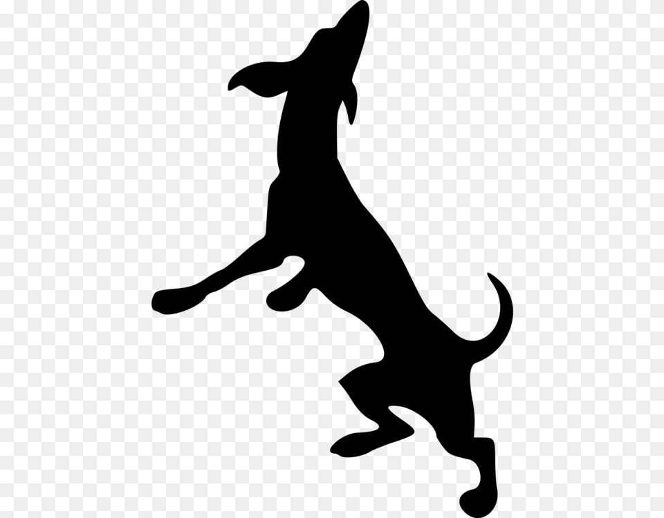 Labrador Retriever Dobermann Scotch Collie Italian Greyhound Free, Gray Png