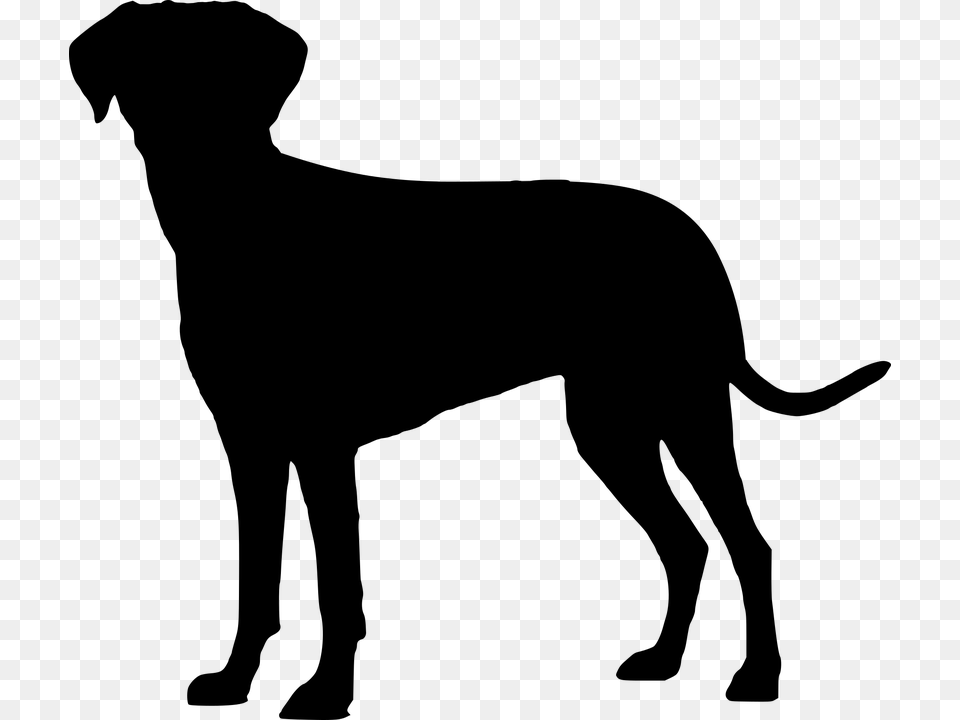 Labrador Retriever Puppy Image Clip Art Dog Breed Cachorro Silhueta, Gray Free Png