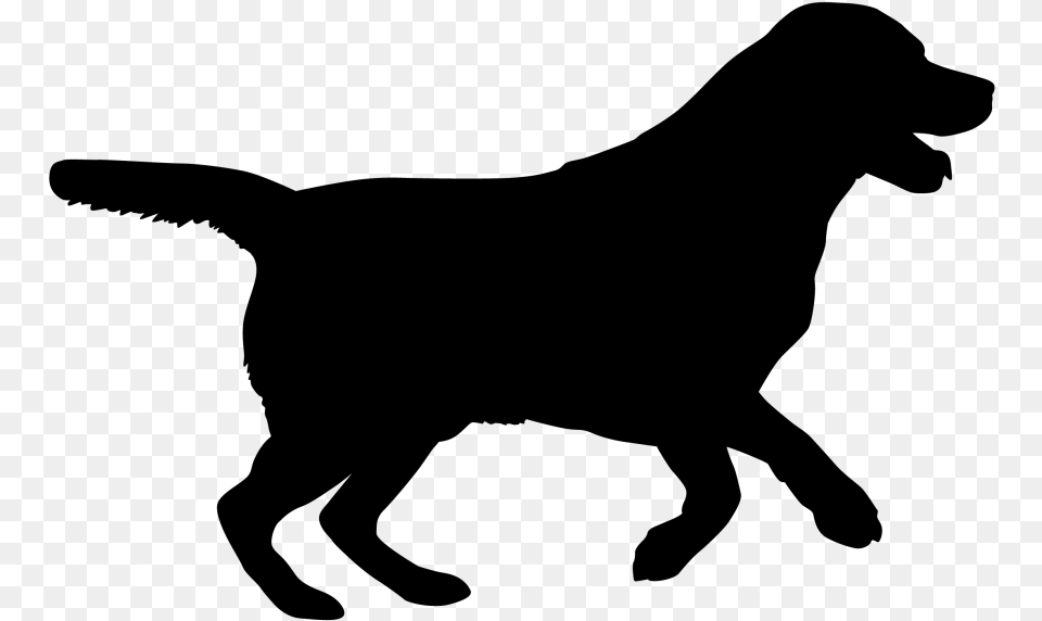 Labrador Retriever Puppy Silhouette Dog Breed Cat Labrador Retriever Silhouette, Gray Free Png