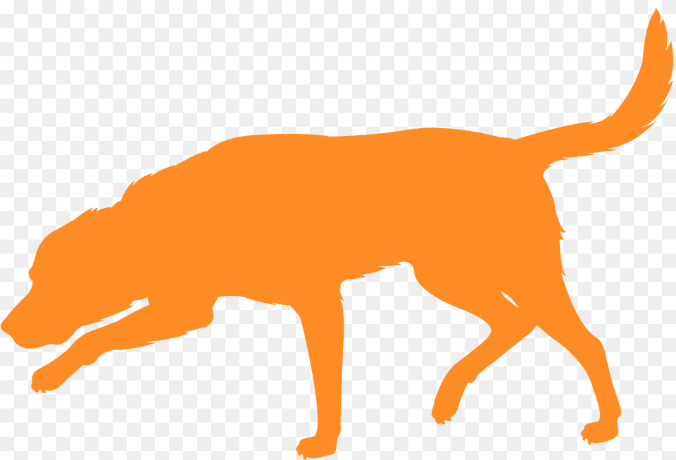 Labrador Silhouette, Animal, Canine, Mammal, Dog Png Image