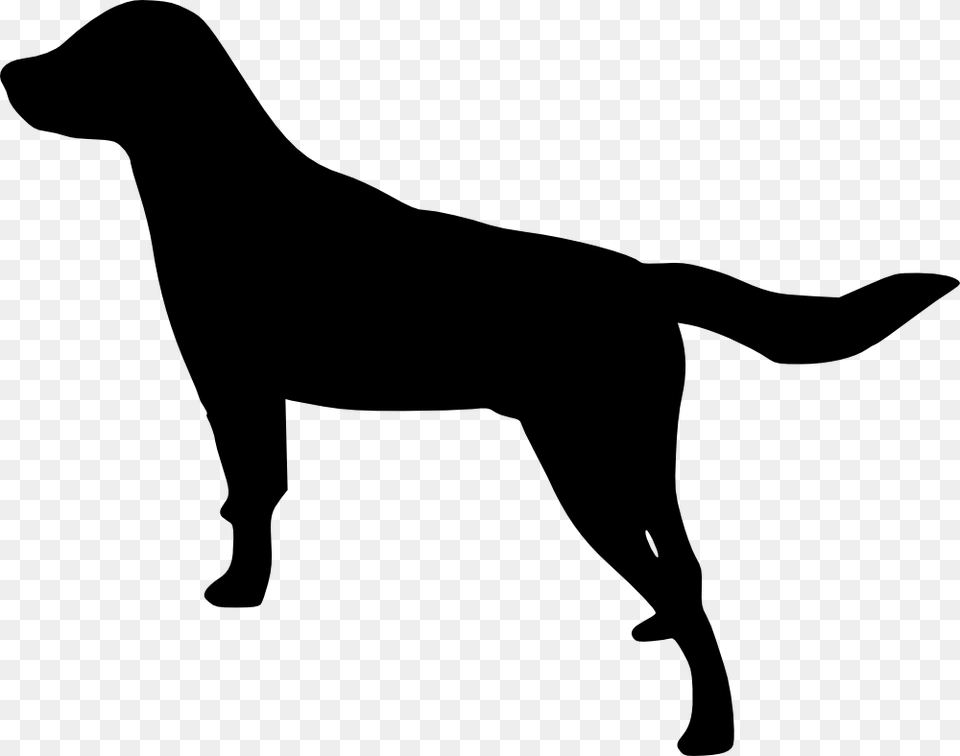 Labrador Silhouette Transparent, Animal, Canine, Dog, Labrador Retriever Free Png