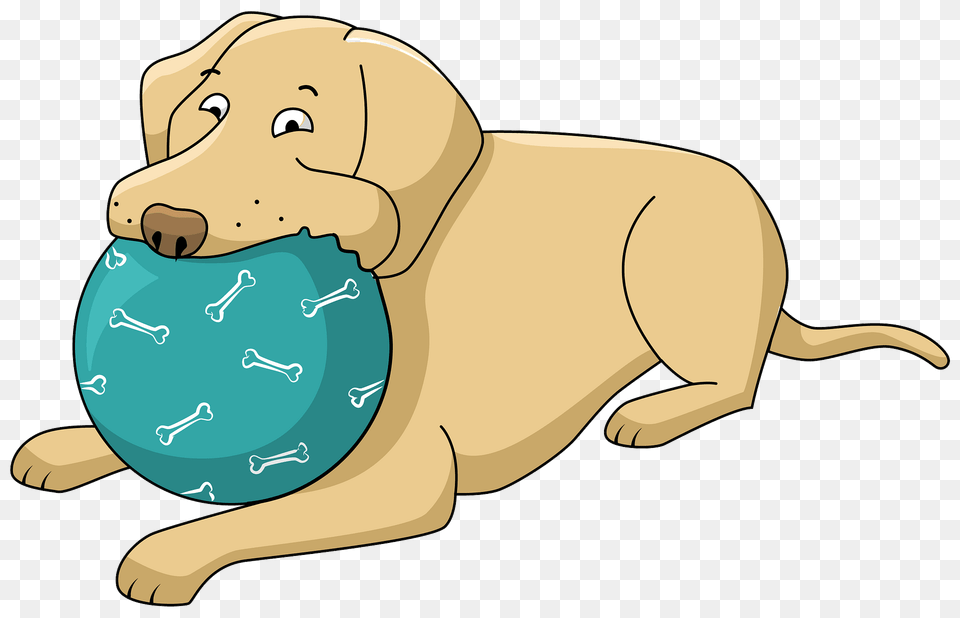 Labrador With A Ball Clipart, Animal, Canine, Mammal, Dog Free Transparent Png