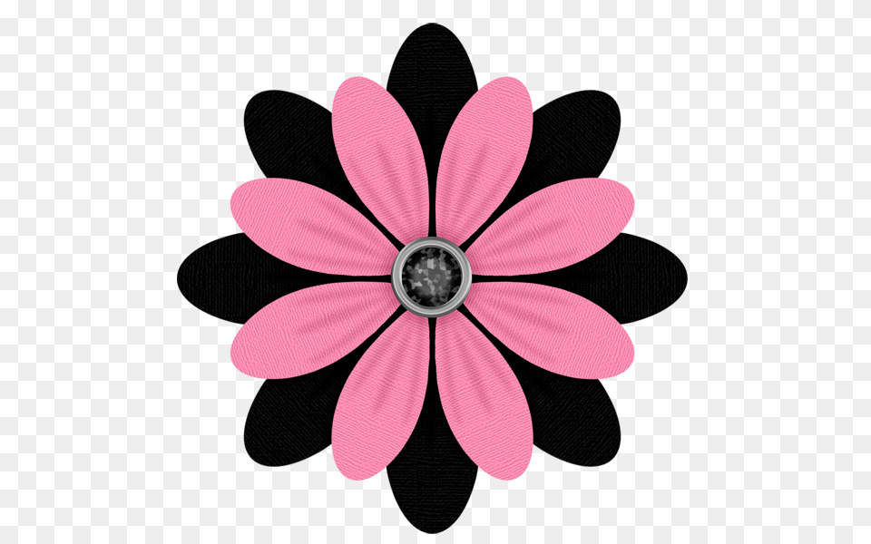 Lacarolita Beautiful Emotion Flower Flowers, Plant, Petal, Pattern, Graphics Png