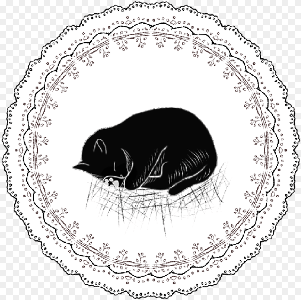 Lace Cat Sleeping Cat Photo Illustration, Animal, Canine, Dog, Mammal Free Transparent Png