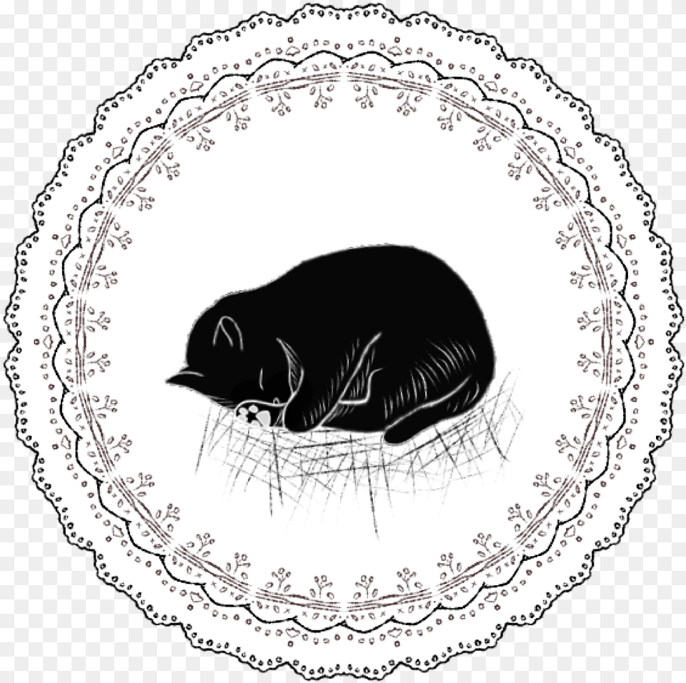 Lace Cat Sleeping Cat Schlafende Katze Gif, Animal, Canine, Dog, Mammal Png