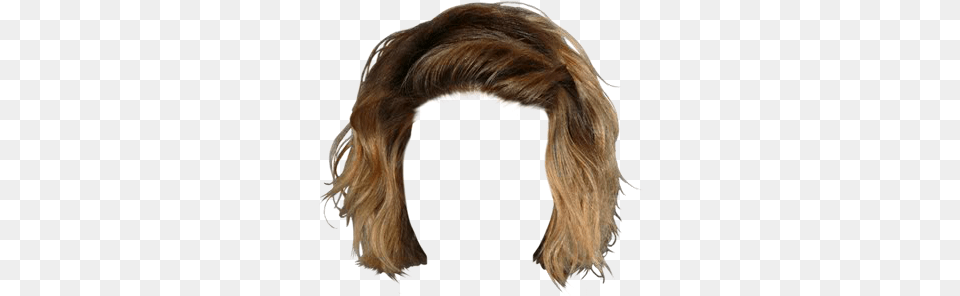 Lace Wig, Adult, Female, Person, Woman Free Png Download