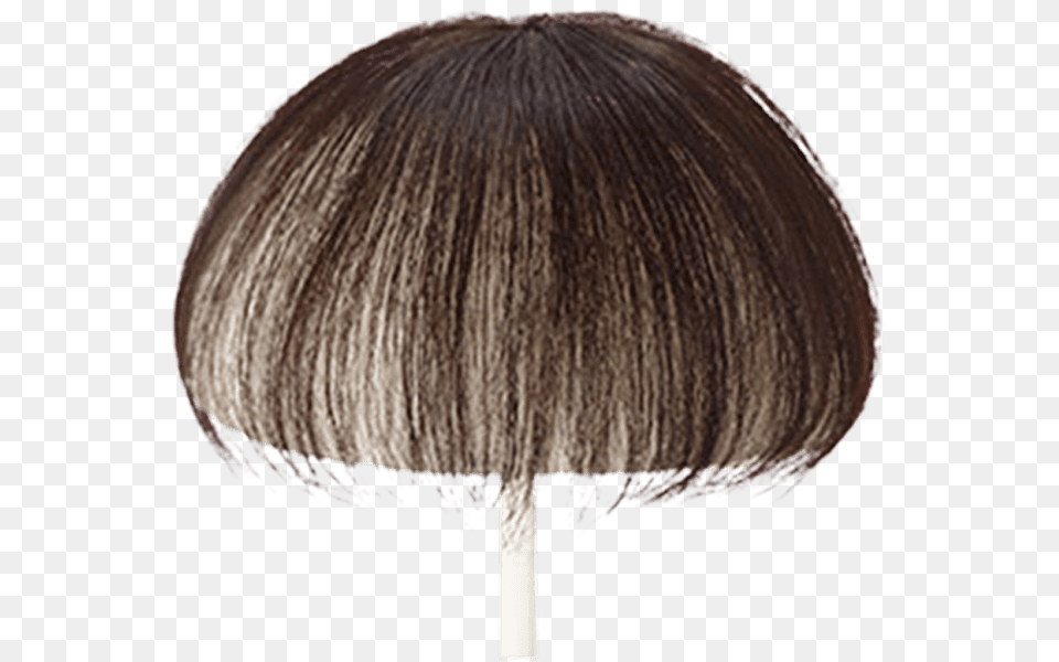 Lace Wig, Lamp, Adult, Female, Person Png Image
