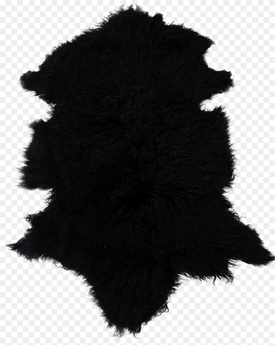 Lace Wig, Home Decor, Silhouette, Animal, Bear Png Image