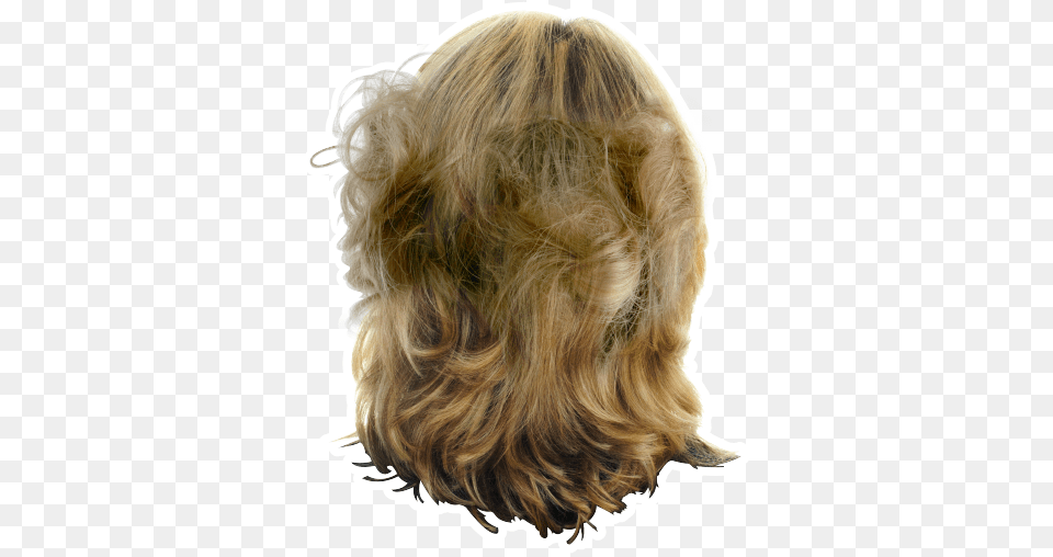 Lace Wig, Blonde, Hair, Person, Adult Free Transparent Png