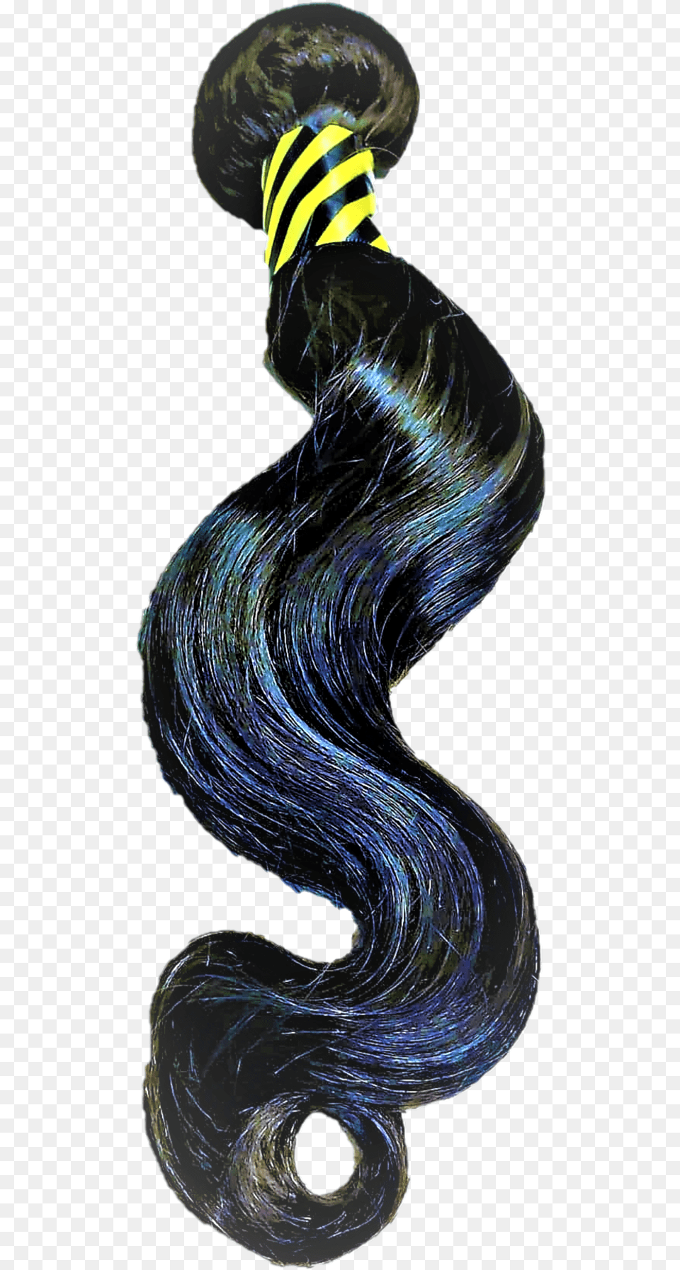 Lace Wig, Coil, Spiral, Accessories, Person Png Image