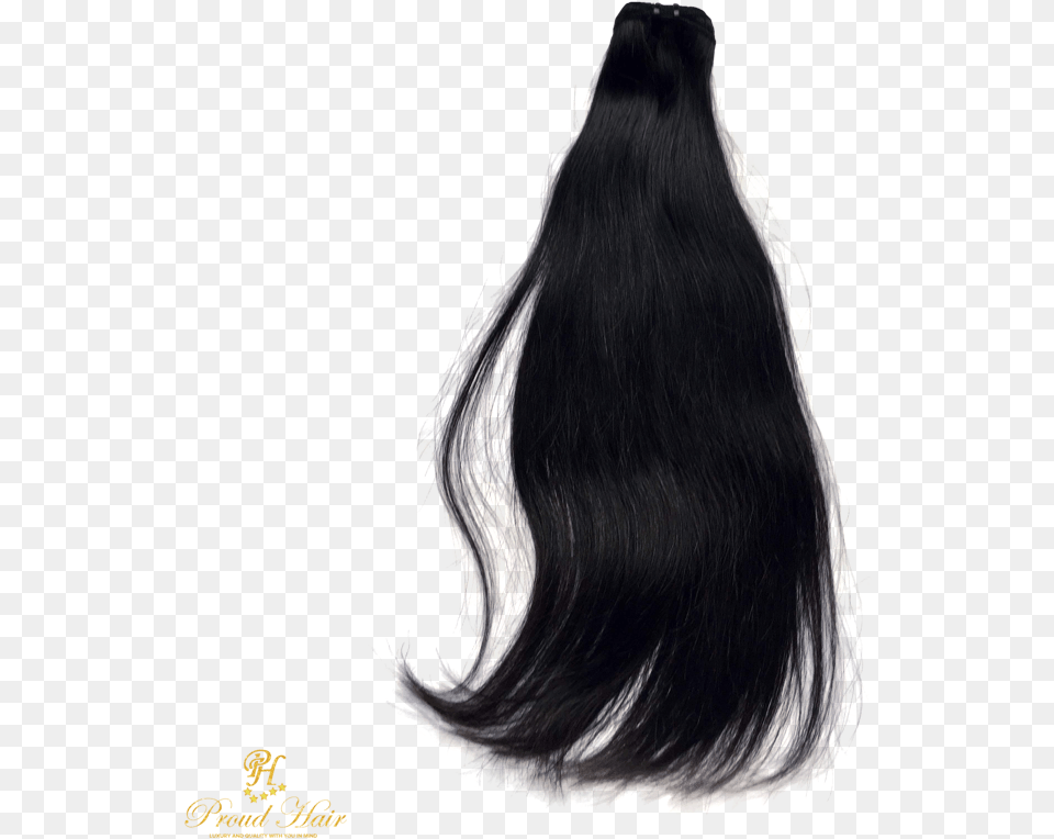 Lace Wig, Black Hair, Hair, Person, Adult Free Png Download