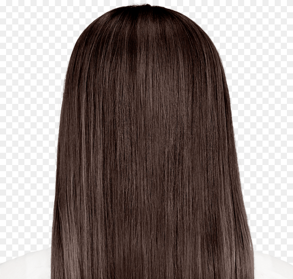 Lace Wig, Adult, Female, Person, Woman Free Png Download