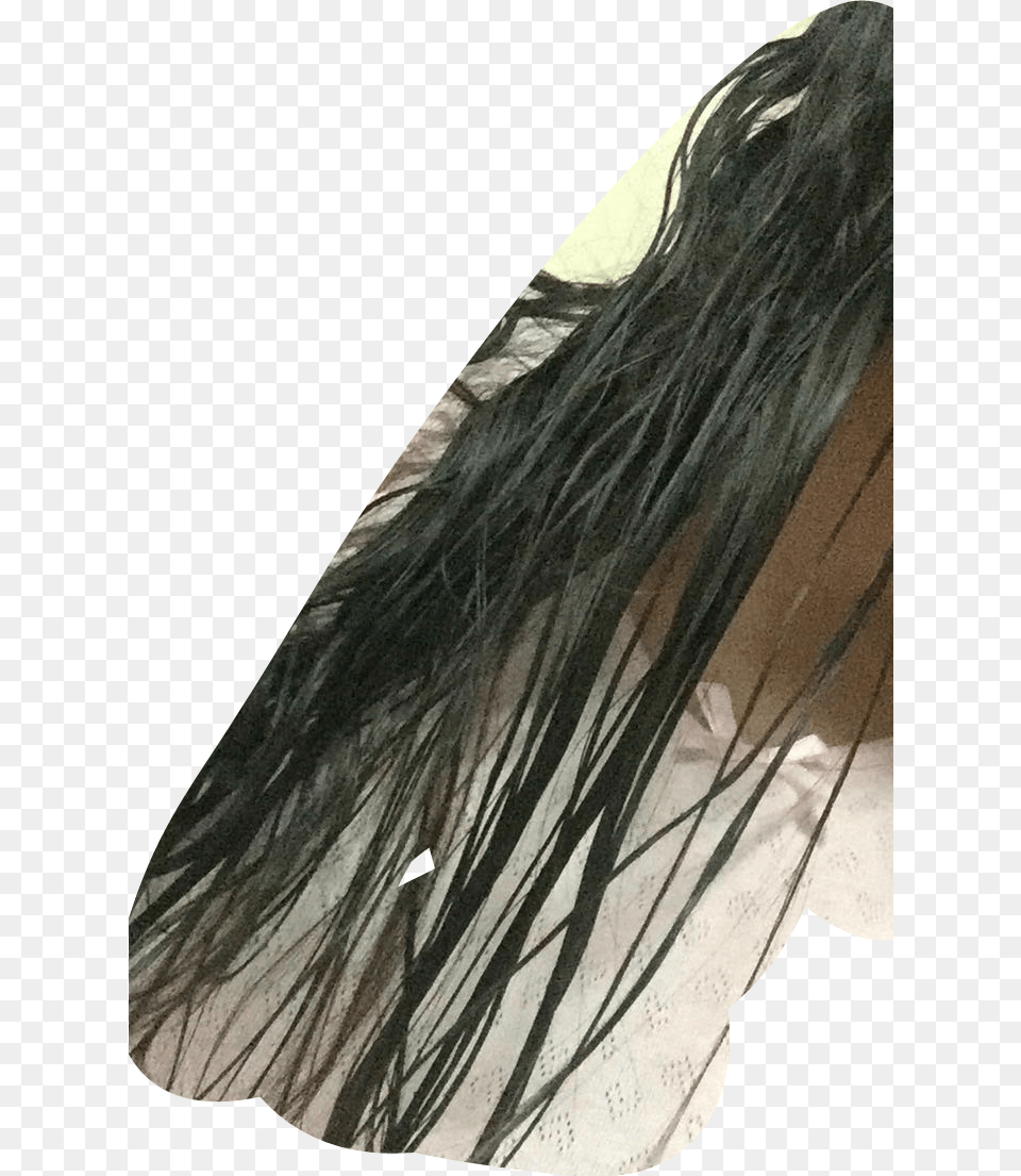 Lace Wig, Clothing, Veil, Adult, Bride Free Transparent Png