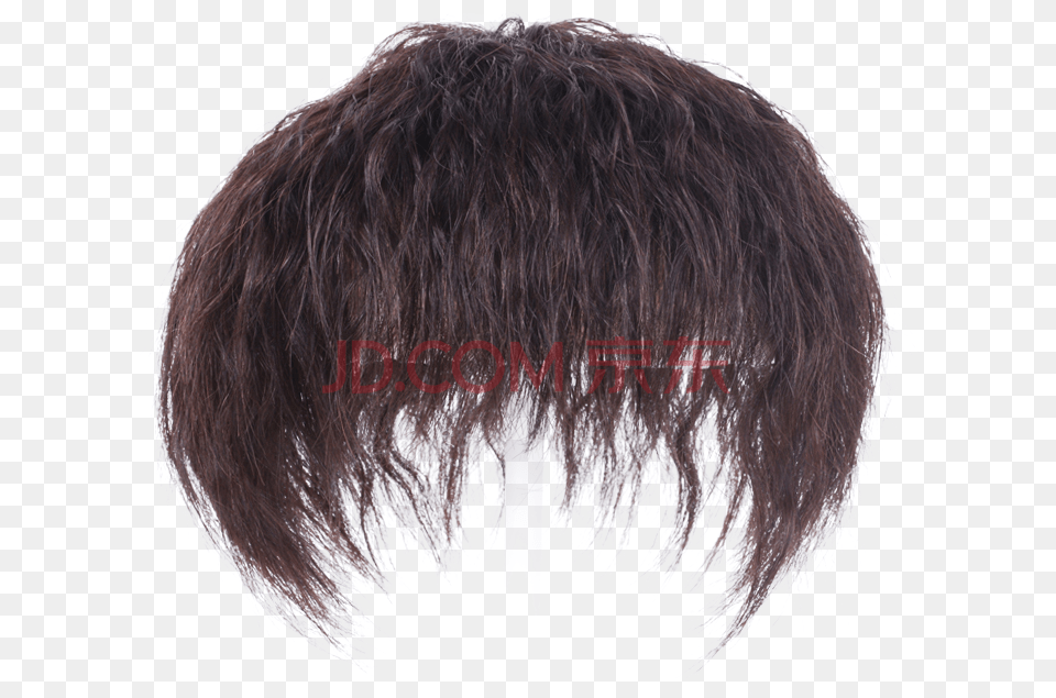 Lace Wig, Adult, Female, Person, Woman Free Transparent Png