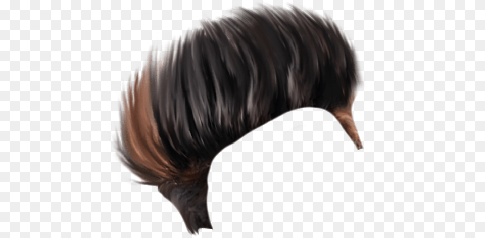 Lace Wig, Adult, Female, Person, Woman Png