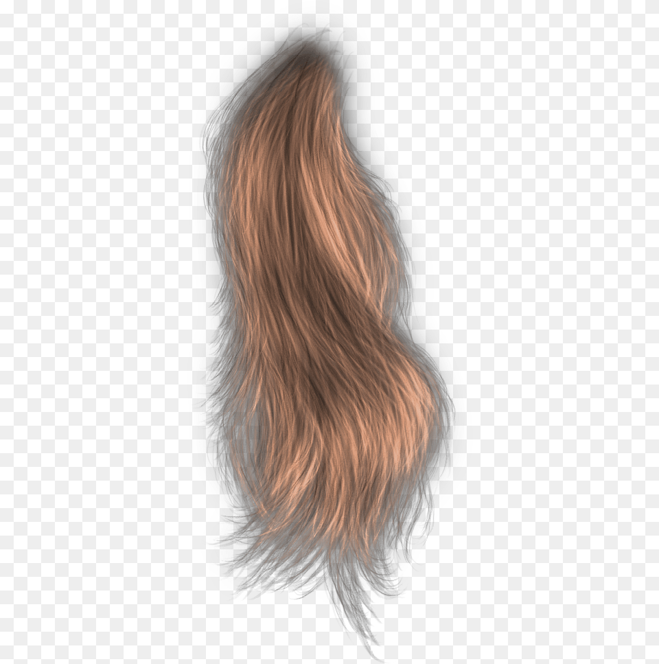Lace Wig, Accessories, Adult, Female, Person Png